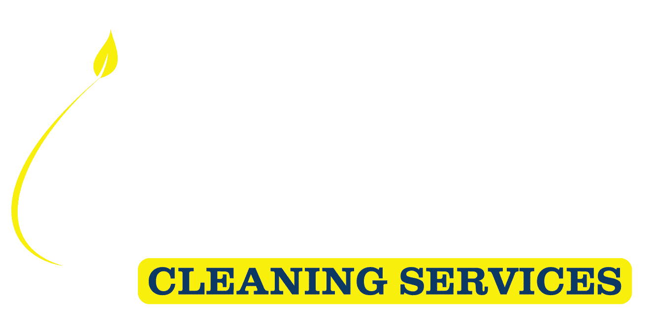 Omex Upholstery Cleaning Services